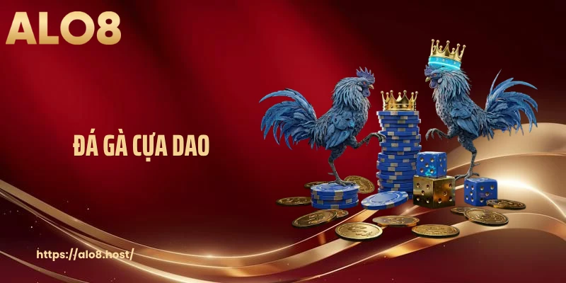 Đá Gà Cựa Dao Tại ALO8 - Sân Chơi Giải Trí Hiện Đại