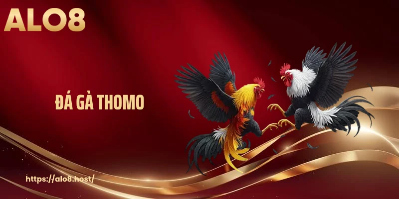 Đá Gà Thomo - Sới Gà Kịch Tính, Sôi Động Hàng Đầu Thị Trường