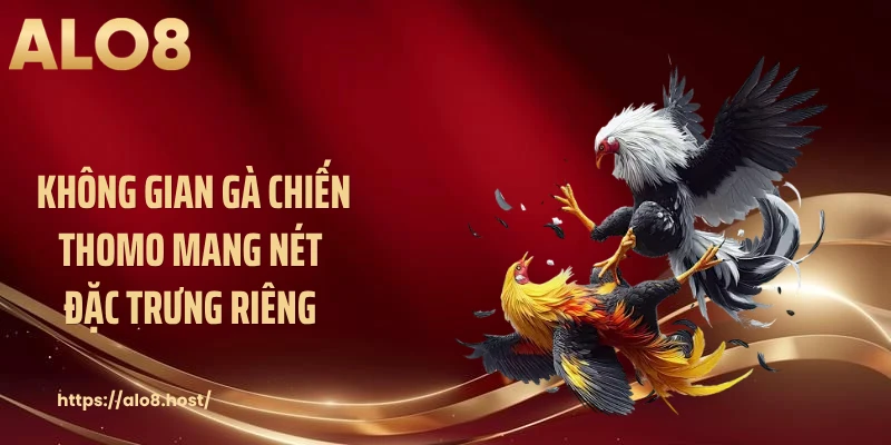 Không gian gà chiến Thomo mang nét đặc trưng riêng 