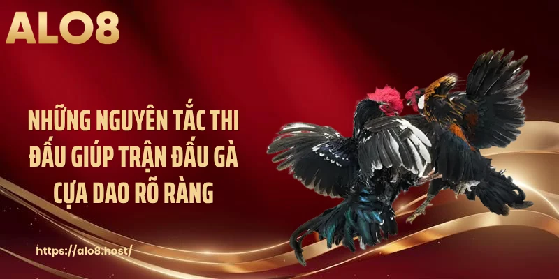 Những nguyên tắc thi đấu giúp trận đấu gà cựa dao rõ ràng