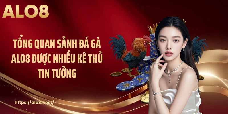 Tổng quan sảnh đá gà ALO8 được nhiều kê thủ tin tưởng