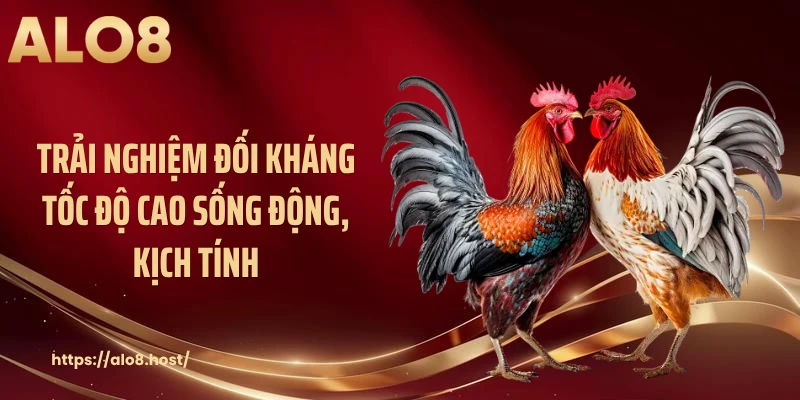 Trải nghiệm đối kháng tốc độ cao sống động, kịch tính